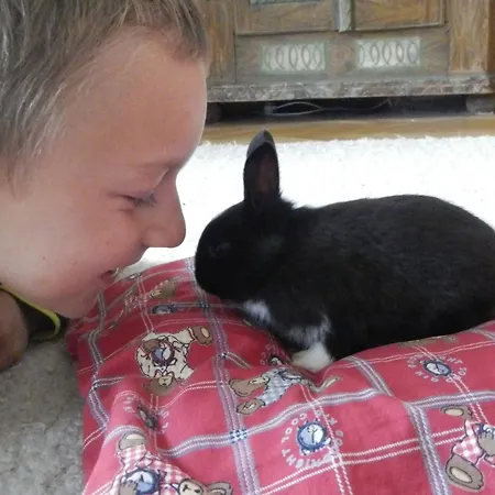 Ferienwohnung Nahe Fuschlsee, *