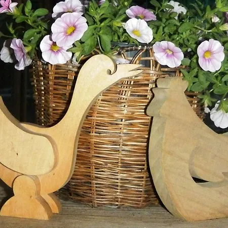 霍夫北萨尔茨堡福斯尔湖公寓 *