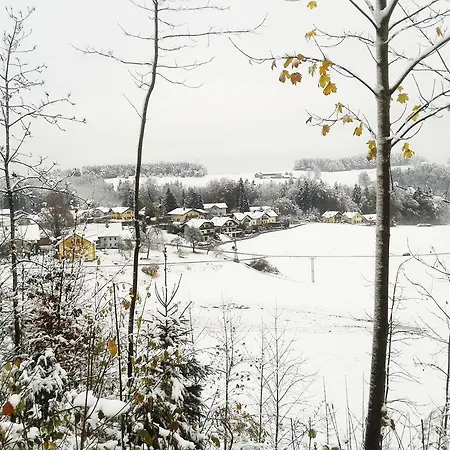 公寓 霍夫北萨尔茨堡福斯尔湖公寓 *